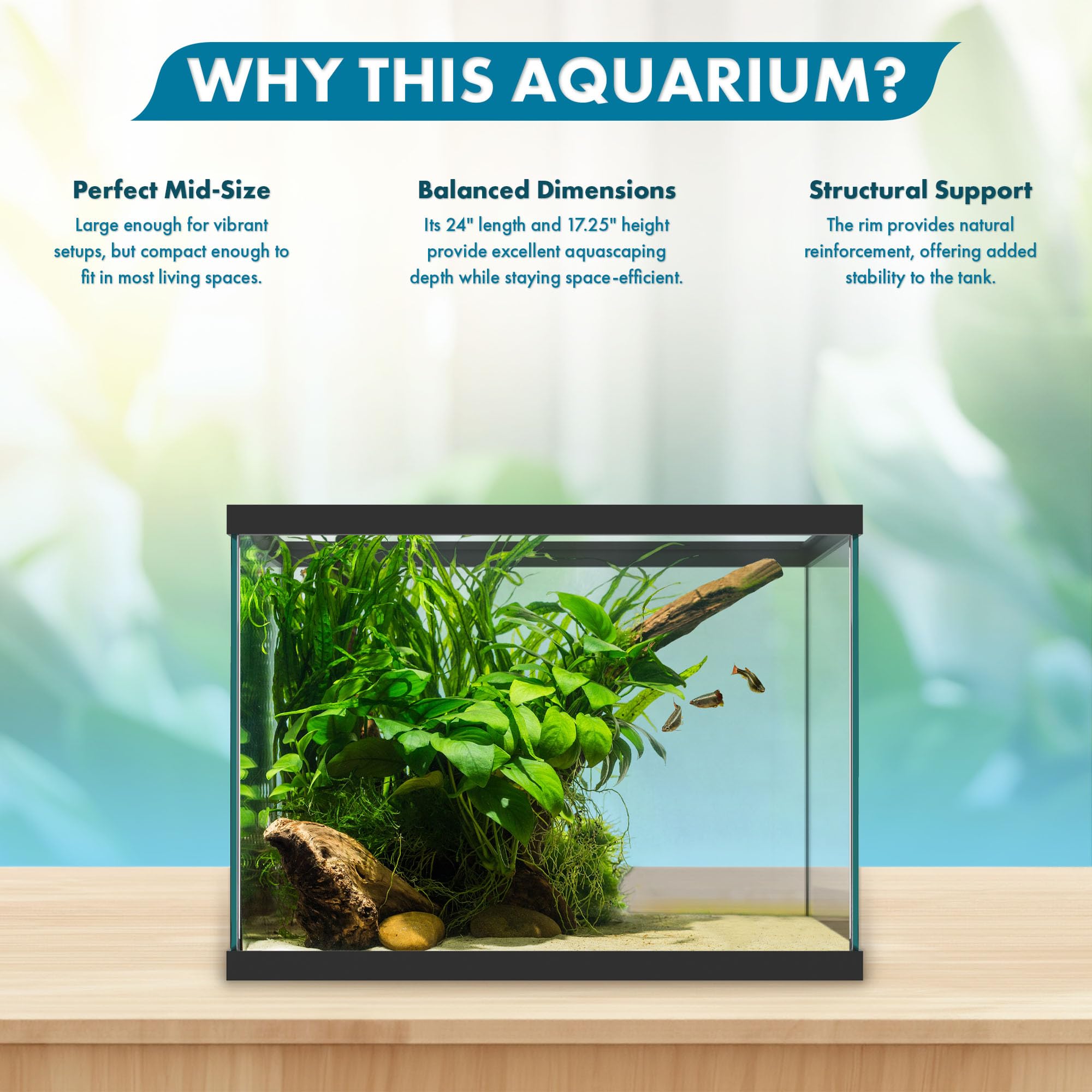 Amazon.com : SubstrateSource 20 Gallon Glass Aquarium - 24 x 12.5